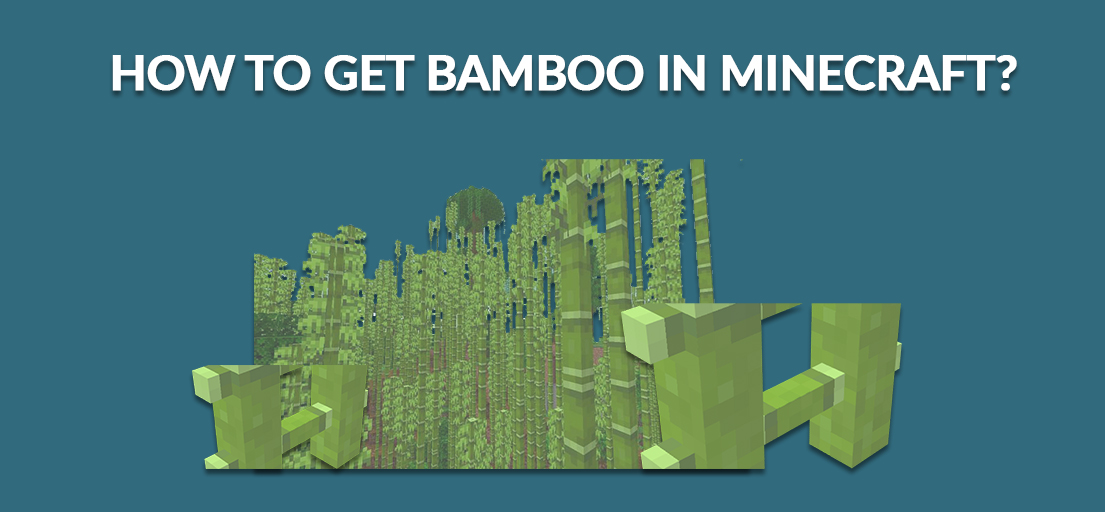 How to grow bamboo in Minecraft